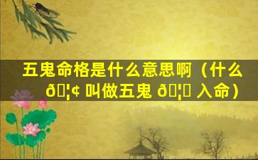 五鬼命格是什么意思啊（什么 🦢 叫做五鬼 🦄 入命）